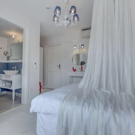 Erendira - Special Category