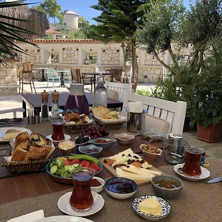 Erendira - Special Category 2*