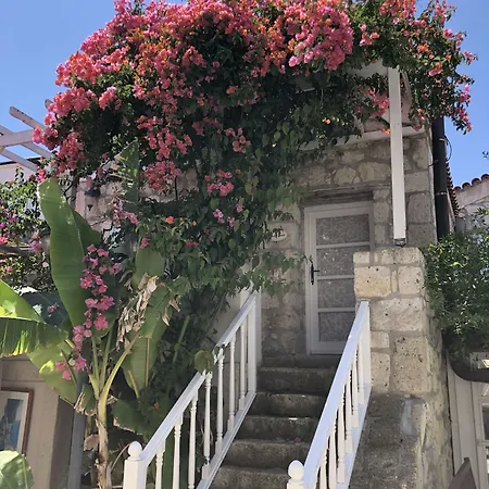 Erendira - Special Category Alacati