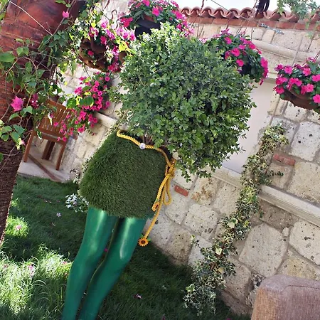 Erendira - Special Category Hotel 2*