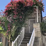 Erendira - Special Category Alacati