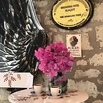 Hotel Erendira - Special Category 2*
