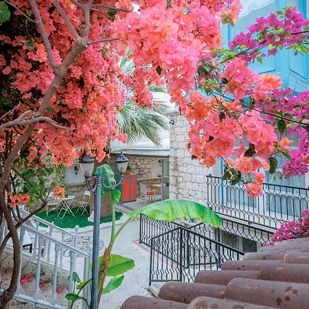 Otel Erendira - Special Category 2*