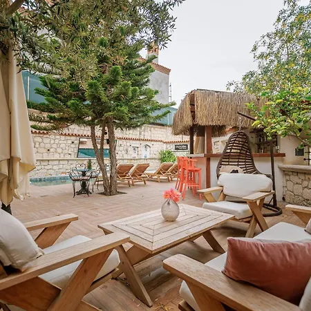 Erendira - Special Category