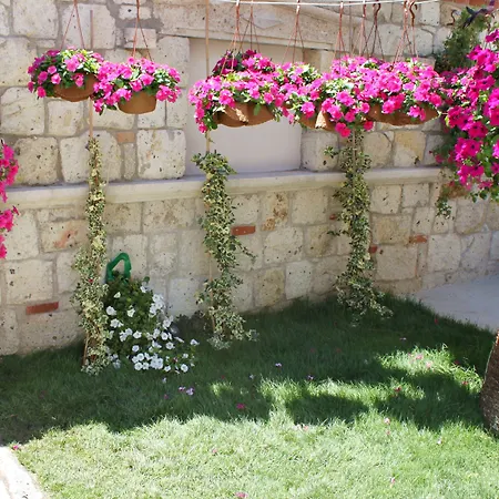 Erendira - Special Category 2* Alaçatı